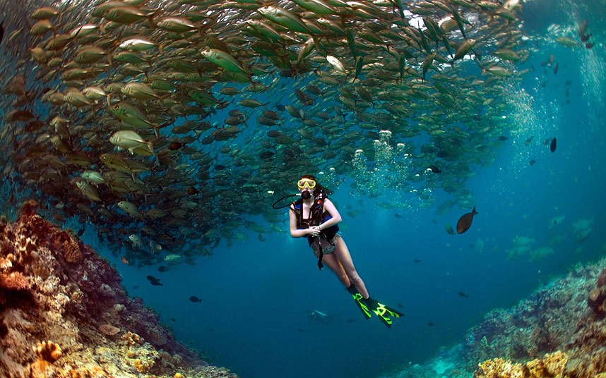 Đảo Sipadan của Malaysia l&agrave; một trong những điểm lặn tuyệt vời nhất thế giới, với độ đa dạng sinh học lớn. Ảnh: Scubadivingezine.